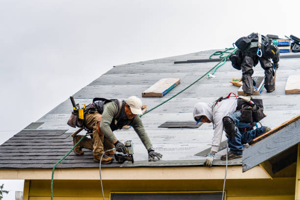 Professional Flat Roof Repair technician working in Woodstock, IL